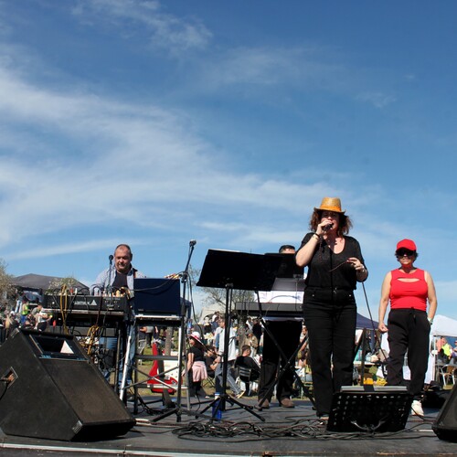 Almendro en flor 2026 (110)